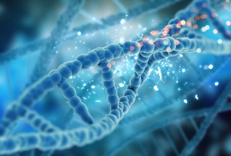 «Мусорная» ДНК создала одно из самых красивых явлений на планете