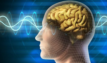 Ученые назвали главный «трюк» мозга: как он обманывает человека