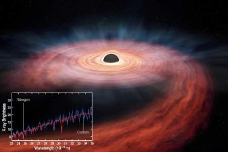 Астрономы наблюдали гибель звезды, разорванной черной дырой