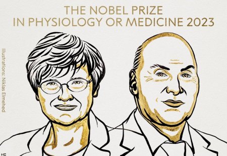 Объявлены лауреаты Нобелевской премии по медицине за 2023 год