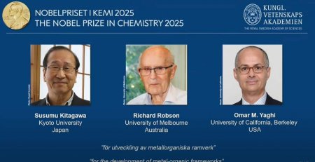 Нобелевскую премию по химии присудили за разработку металлоорганических каркасов