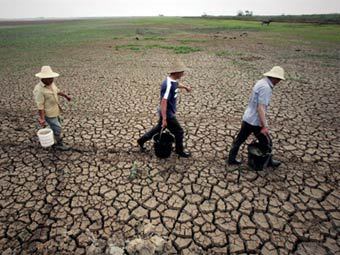 Засуха в Китае признана сильнейшей за полвека