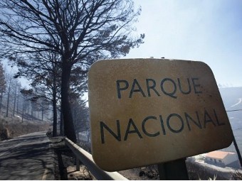 Пожары на Канарах затронули парк из списка ЮНЕСКО
