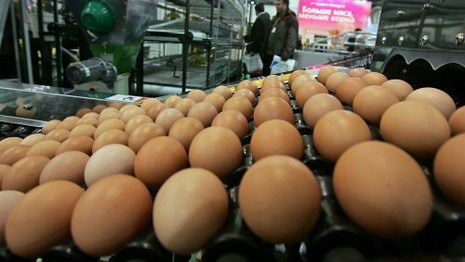 В Беларуси на 20% дорожают куриные яйца