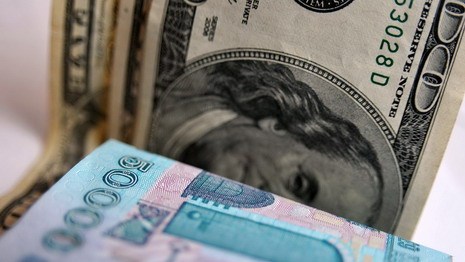 Средняя зарплата в Беларуси достигла 480 долларов