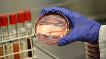 Бактерии кишечной инфекции найдены на листьях салата из Баварии