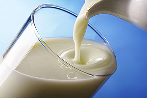 Беларусь и Россия будут еженедельно согласовывать цены на молочную продукцию