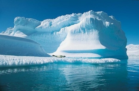 Льды в Арктике продолжают стремительно таять