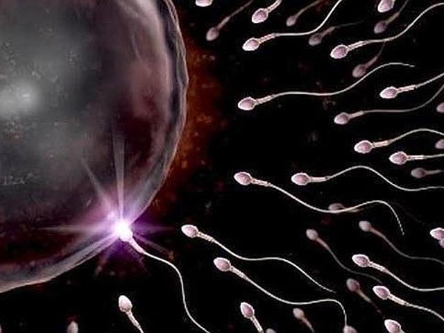 Удивительные свойства спермы: крем для кожи, пищевая добавка, антидепрессант и многое другое