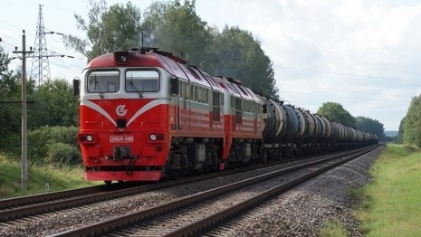 В Борисове под поездом погибли женщина и ее семилетняя дочь
