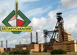Беларусь готова поделиться 15-20% «Беларуськалия»