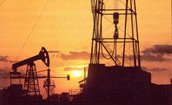 «Белоруснефть» приобрела сибирскую нефтегазовую компанию «Янгпур»