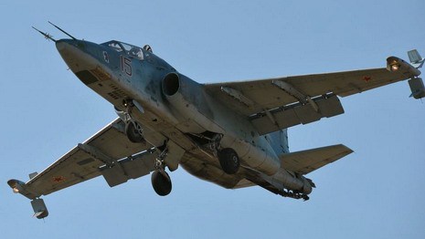 В Брестской области упал военный самолет