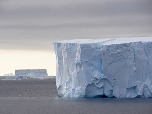 Толща льда Антарктиды сокращается на 7 метров в год