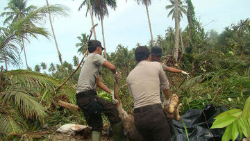 Число жертв цунами в Индонезии превысило 270, затоплены целые деревни