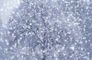 Гидрометцентр пообещал снег в новогоднюю ночь