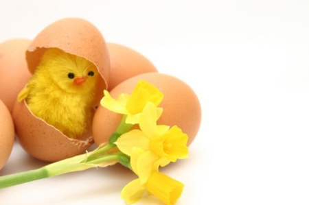 Выставка пасхальных яиц откроется в Гродно 1 апреля