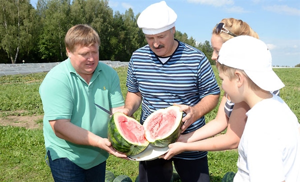 Лукашенко убрал свои дыни и арбузы (Фото)