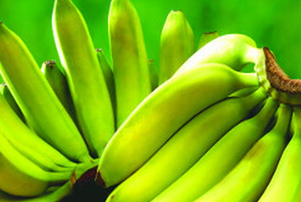 Витебские таможенники «развернули» 20 тонн бананов