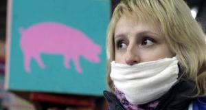 Минздрав: в Беларуси подтвердились 165 случаев свиного гриппа