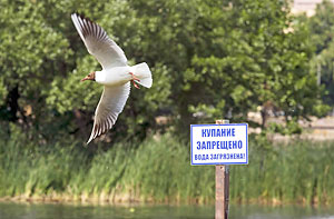 В Беларуси ограничили купание в десяти водоемах
