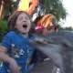 Голодный дельфин напал на ребенка в океанариуме