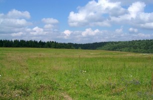 В Беларуси прекратят «халявную» раздачу земельных участков